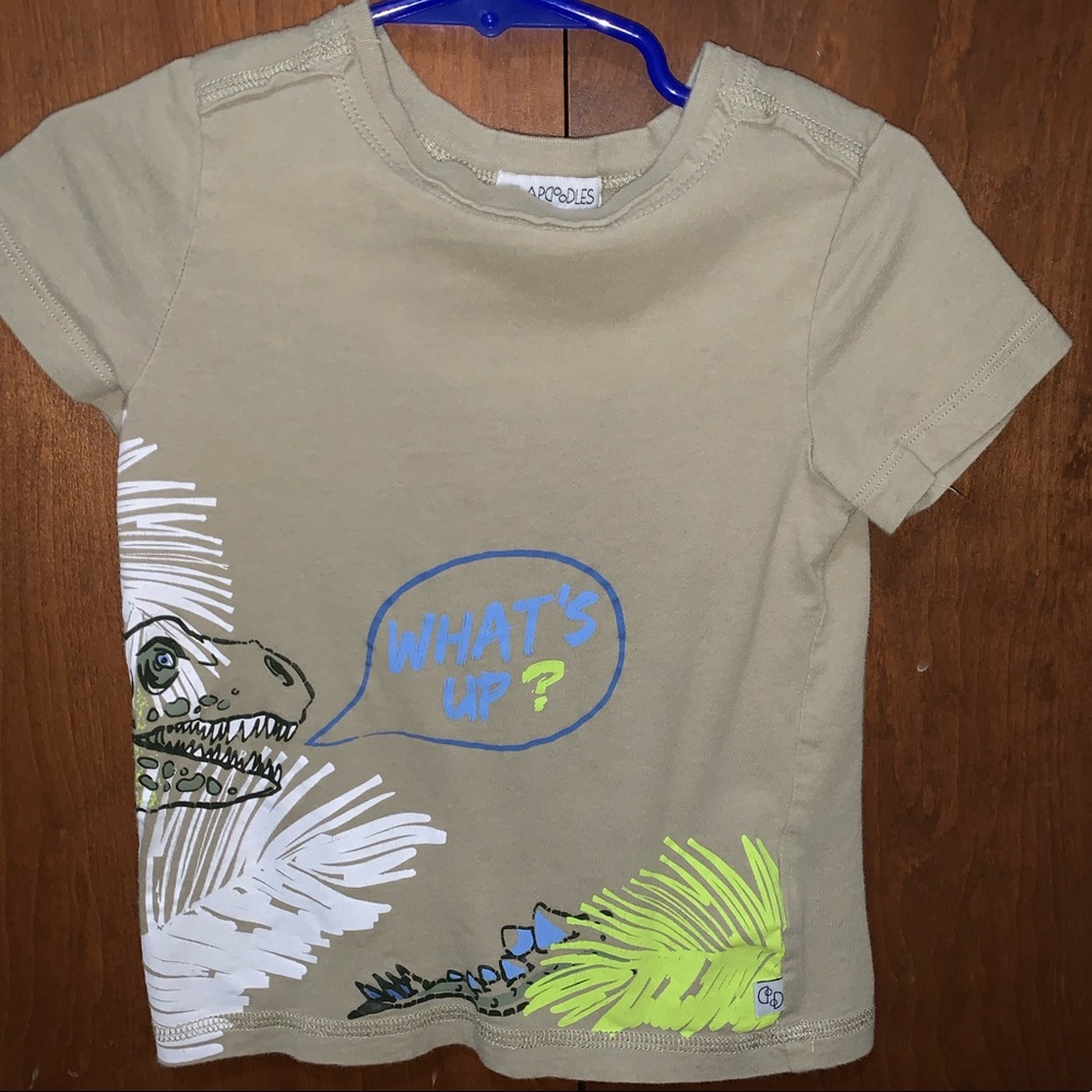 Toddler Dino shirt.
